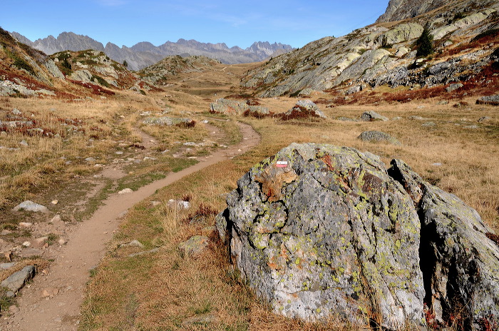 alpedhuez_meertjes16.jpg