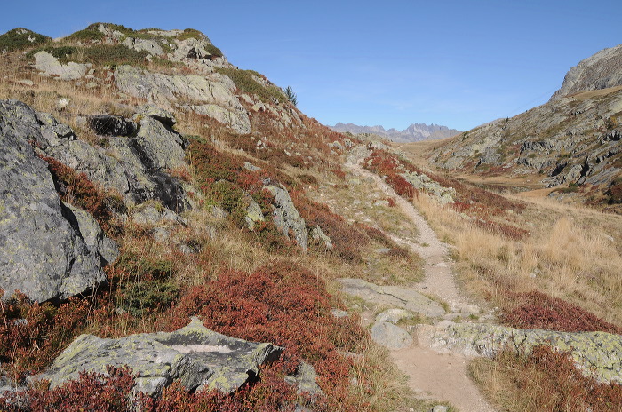 alpedhuez_meertjes17.jpg