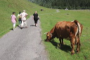 valsertal_10