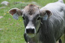 valsertal_18