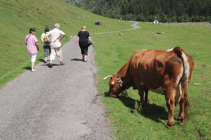 valsertal_10.jpg