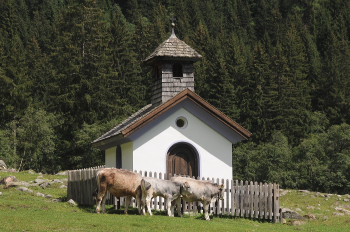 valsertal_13.jpg