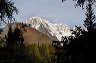 lac_darpy03