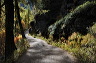 lac_darpy04