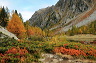 lac_darpy07