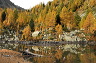 lac_darpy09