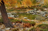 lac_darpy10