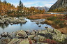 lac_darpy11