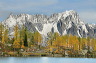 lac_darpy13
