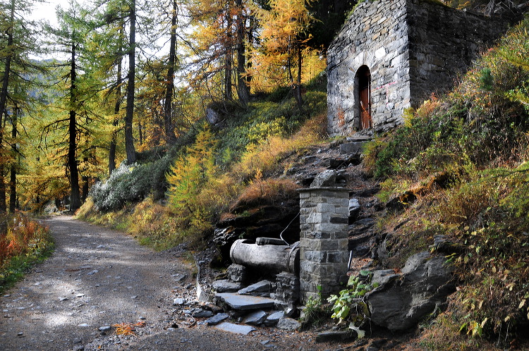 lac_darpy05.jpg