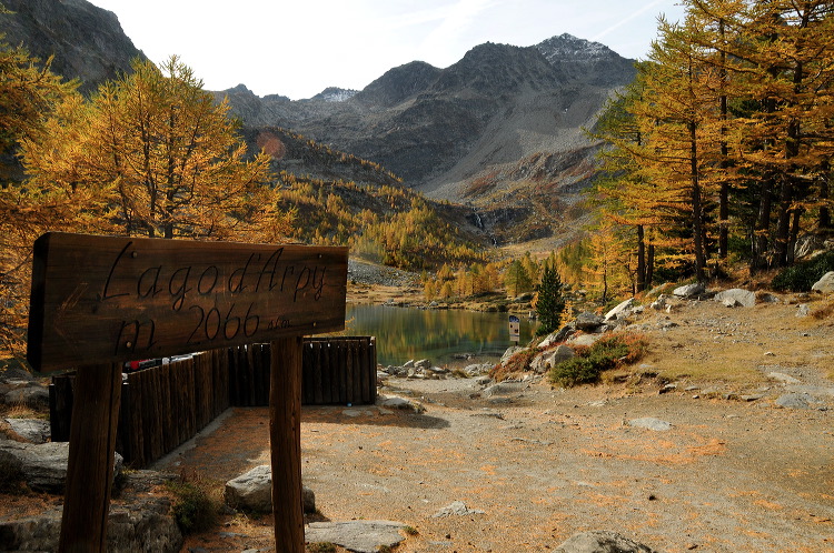 lac_darpy06.jpg