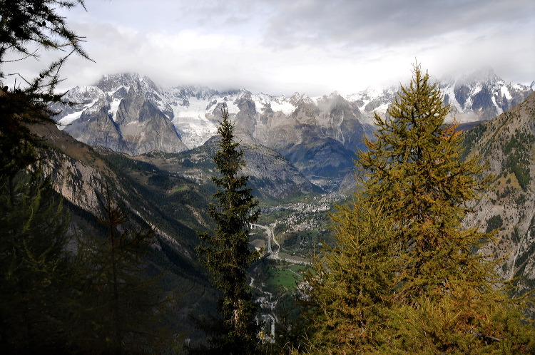 lac_darpy26.jpg