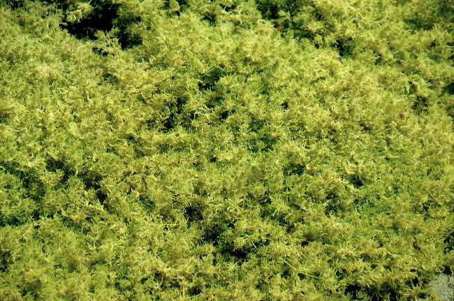durlasboden_05.jpg